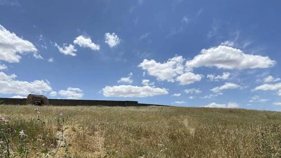 El Ayuntamiento solicita la limpieza de solares privados aledaños al casco urbano
