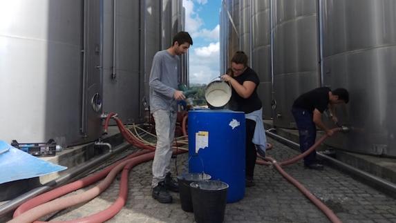 Los tres alumnos realizarn sus prácticas profesionales en la bodega Caves Campelo situada en la localidad portuguesa de Barcelos. CEDIDA