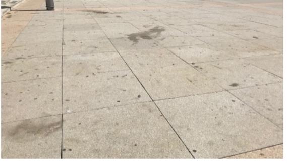 El PP denuncia el estado de suciedad y abandono de la Plaza del Corazón de María
