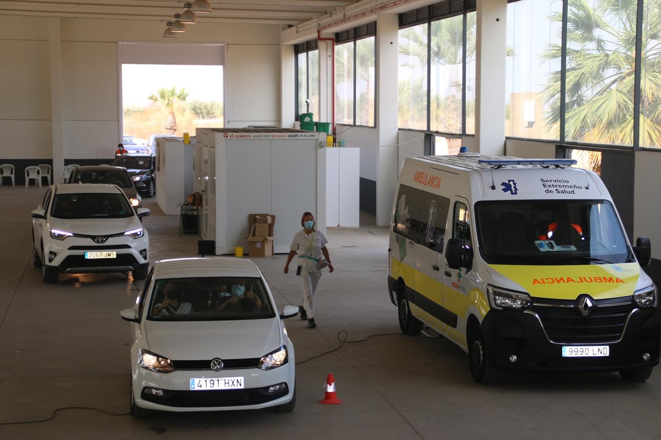 Los niños y jóvenes han recibido su dosis vacunal contra el covid esta semana. 