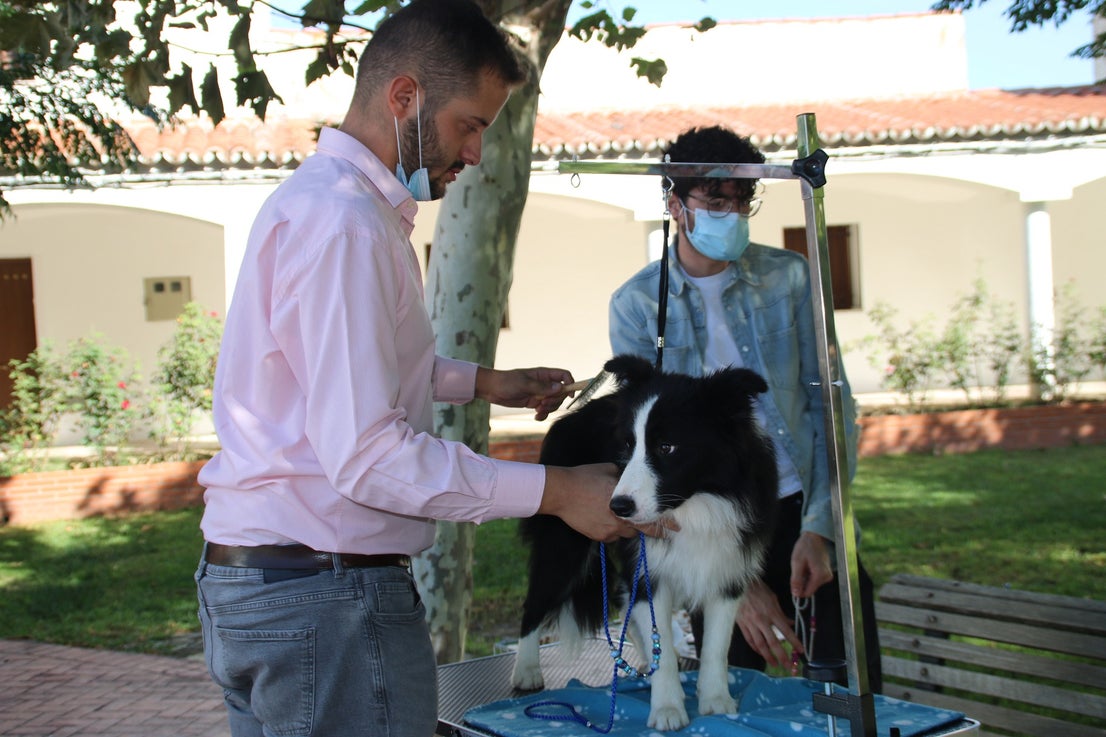 Participantes en el I Concurso Canino Nacional celebrado en Entrerríos. 