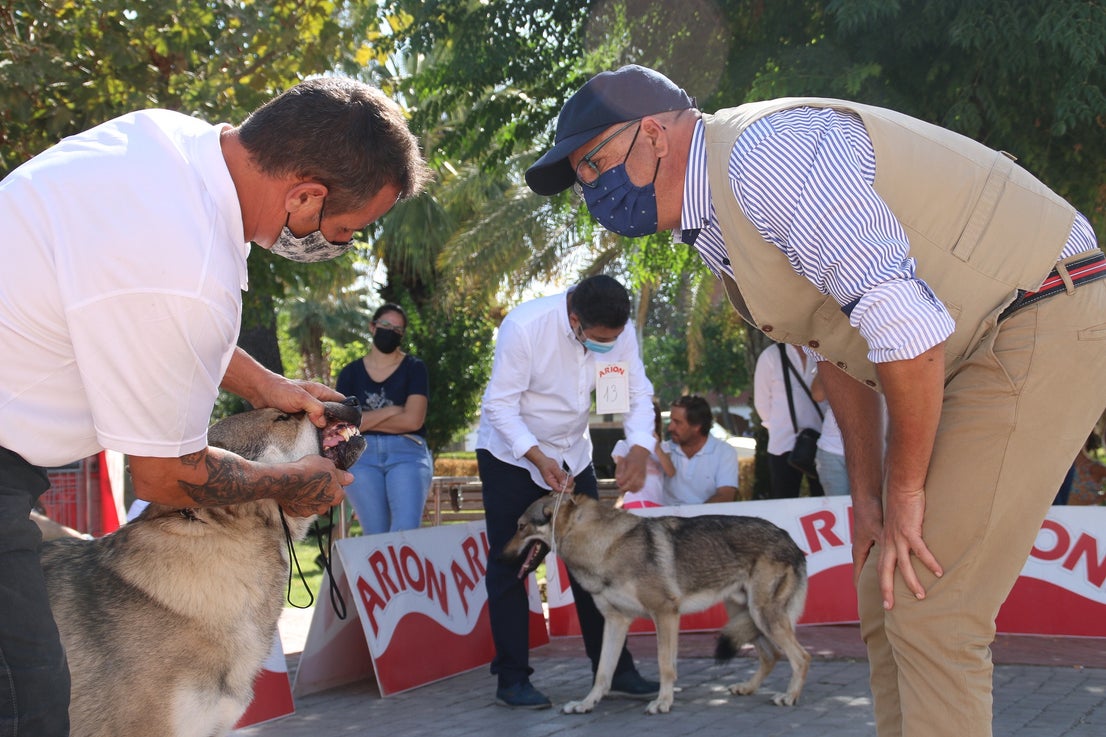 Participantes en el I Concurso Canino Nacional celebrado en Entrerríos. 