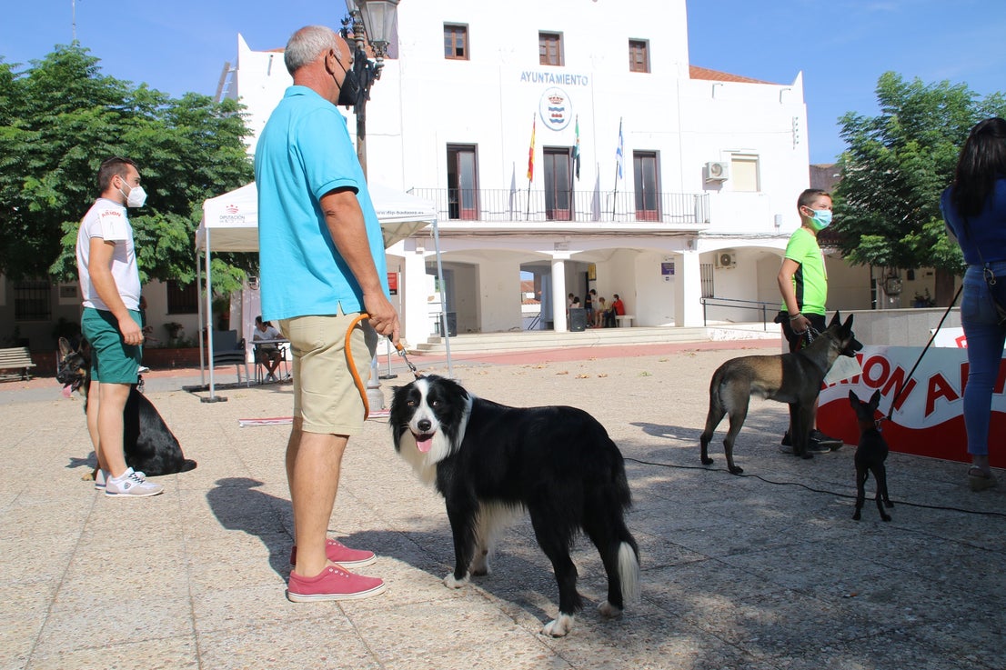 Participantes en el I Concurso Canino Nacional celebrado en Entrerríos. 