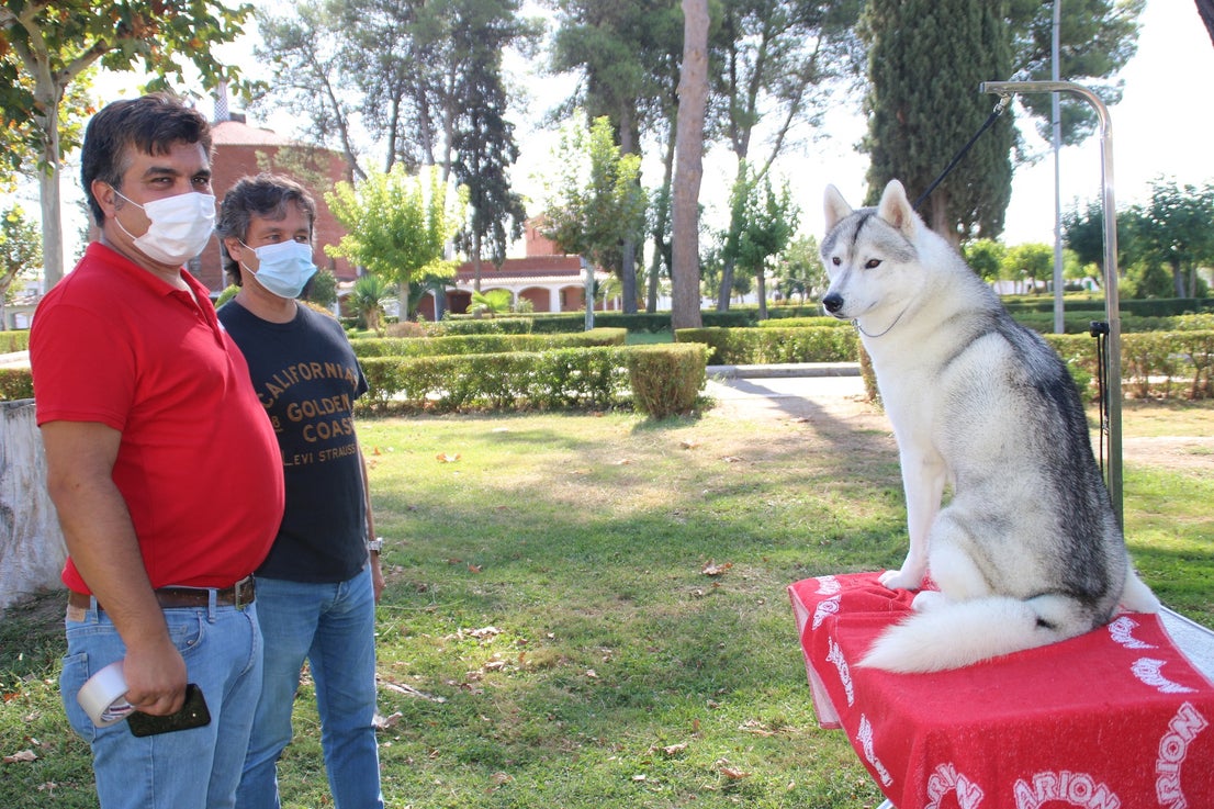 Participantes en el I Concurso Canino Nacional celebrado en Entrerríos. 