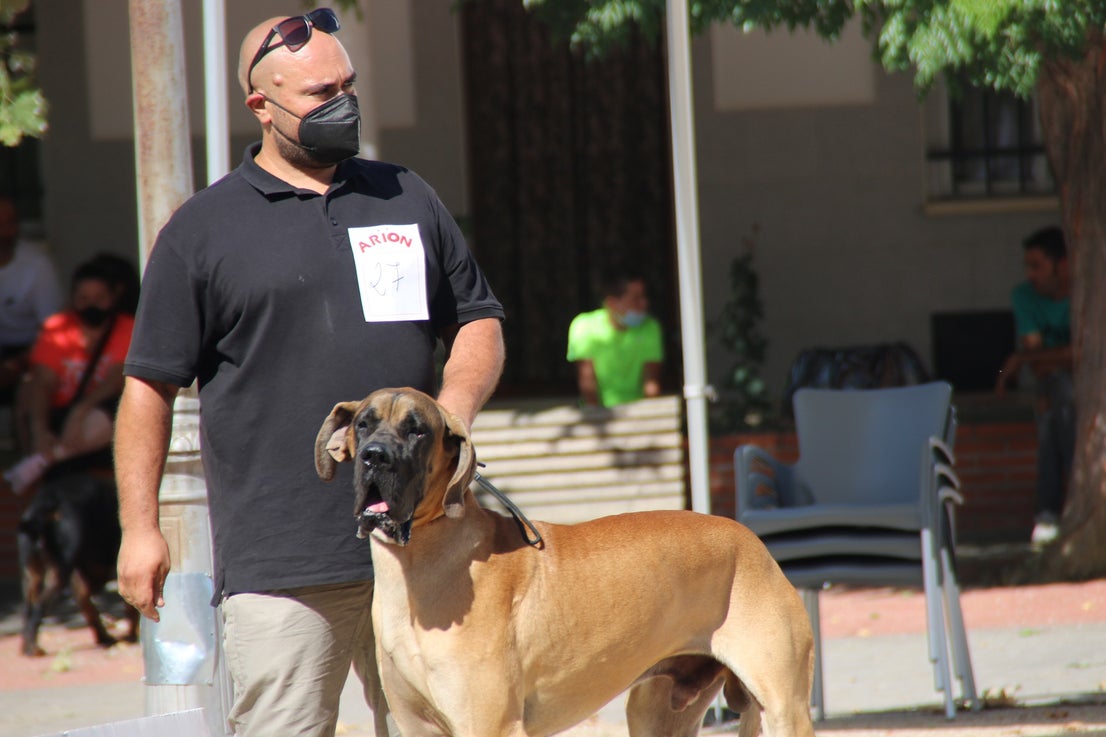 Participantes en el I Concurso Canino Nacional celebrado en Entrerríos. 
