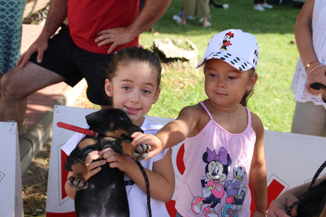Participantes en el I Concurso Canino Nacional celebrado en Entrerríos. 