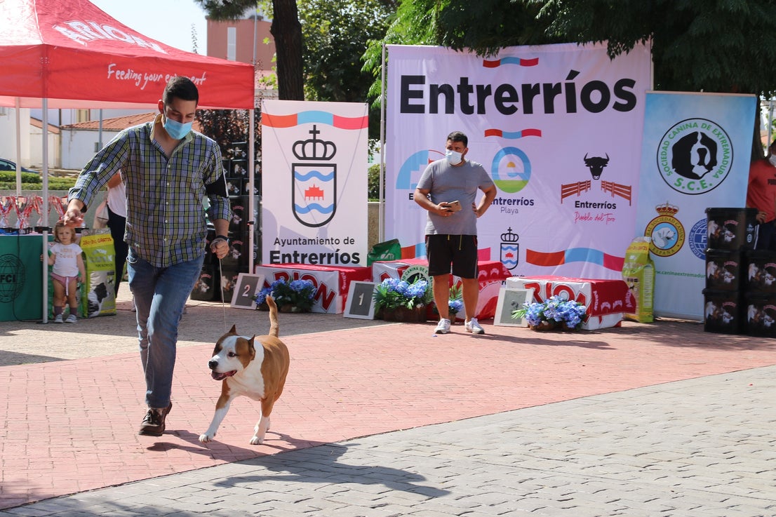Participantes en el I Concurso Canino Nacional celebrado en Entrerríos. 