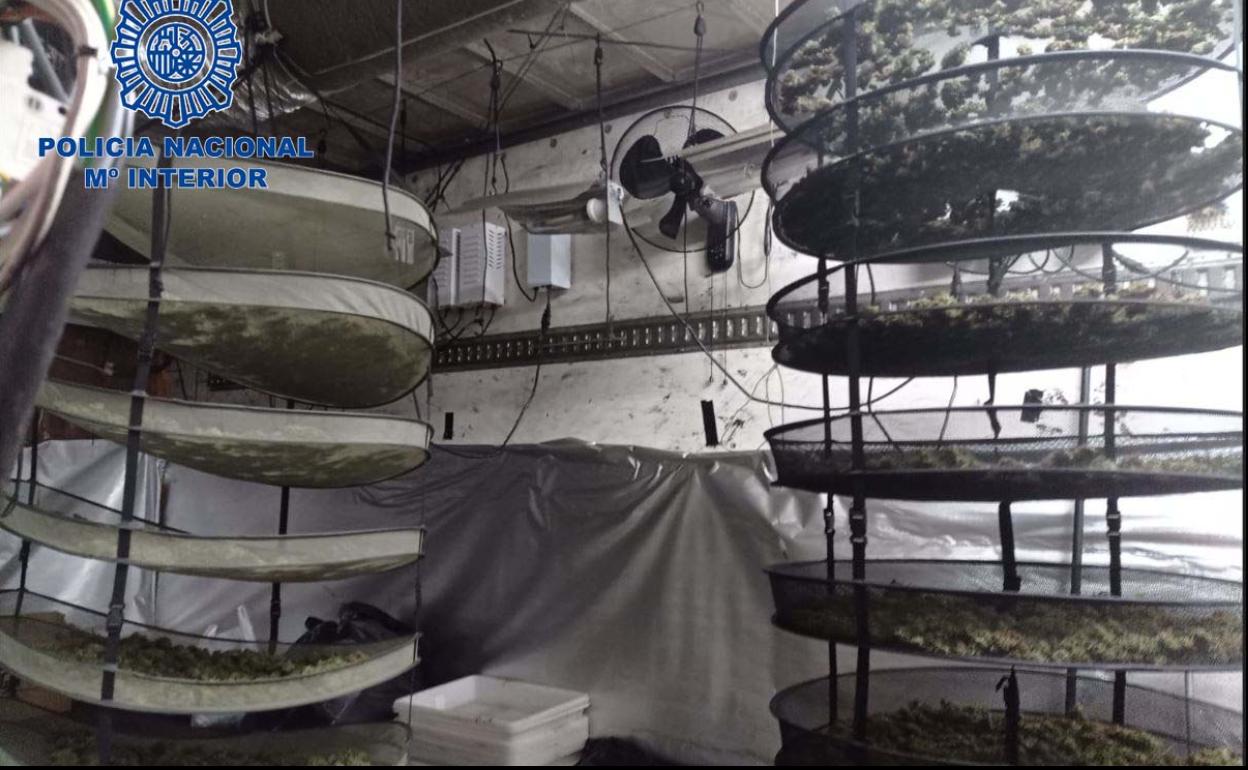 Detenido un hombre por cultivar marihuana dentro de un camión en la Polígono La Barca