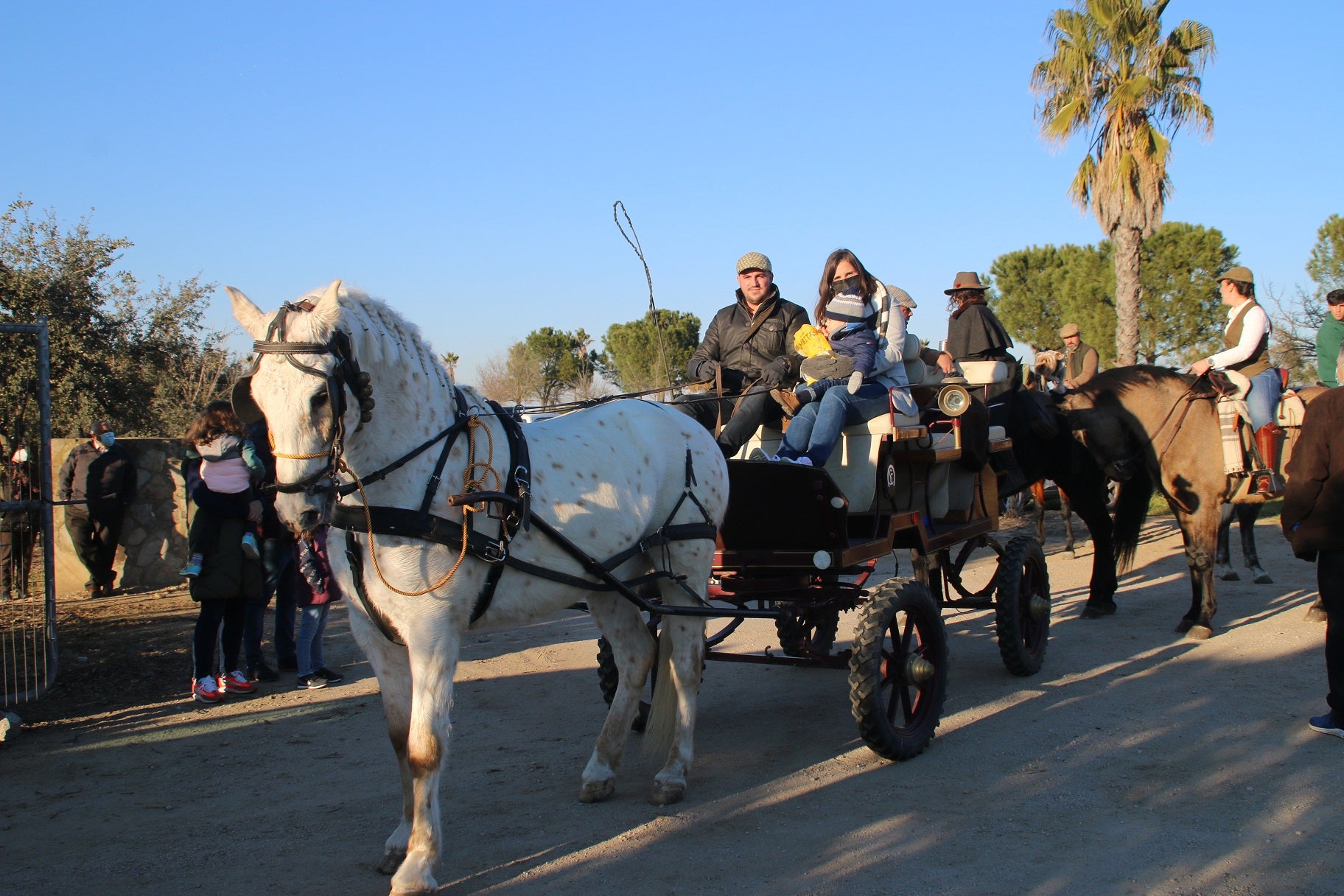 Emoción al volver a acompañar a la Virgen de la Aurora en su traída. 