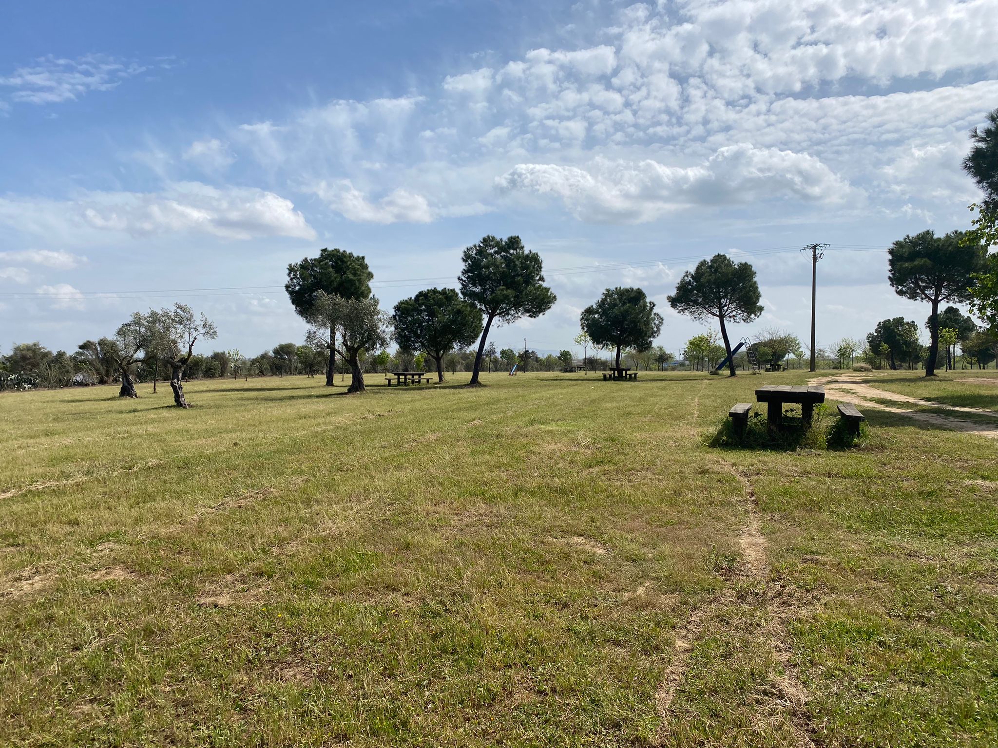 Zona de hierba y arboleda para poder disfrutar al ire libre. 