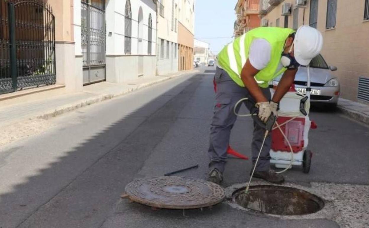 Tratamiento contra las plagas de cucarachas en el alcantarillado. 