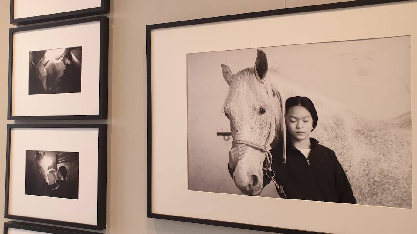 Imagen secundaria 1 - Algunas de las fotografías que se pueden ver en la exposición. 