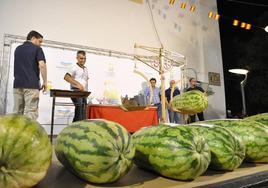 Habrá un premio de 1.000 euros si se supera el récord nacional del peso de sandía de más de 99 kilos.