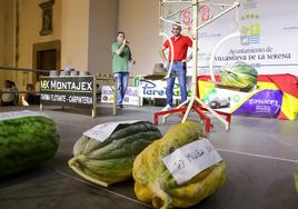El melón ganador pesó más de 31 kilos.