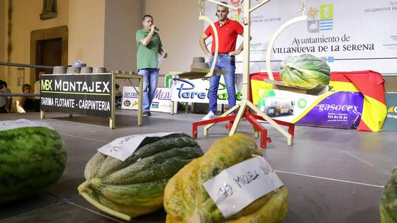 Un melón para la historia en las fiestas de 'San Bartolo'