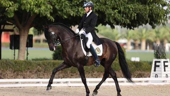 Un caballo de la Yeguada Castelnovo, entre los 11 mejores del mundo