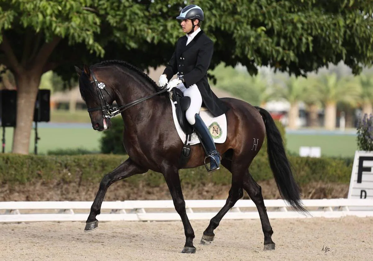 Un caballo de la Yeguada Castelnovo, entre los 11 mejores del mundo