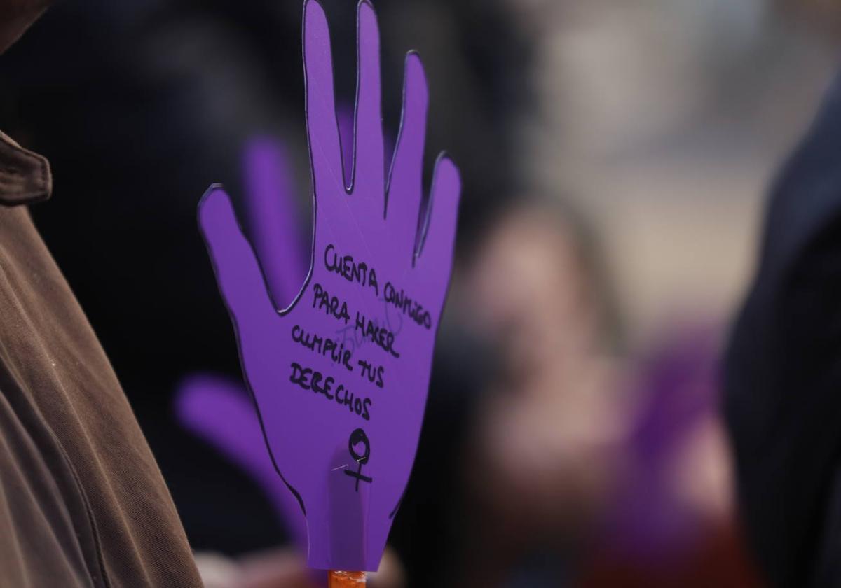 Vox vota en contra de la declaración institucional por el Día Internacional de la Eliminación de la Violencia contra la Mujer