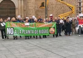 La manifestación llegó hasta la plaza de España de Villanueva.