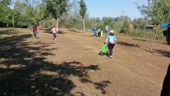 El Día Mundial del Medio Ambiente se celebrará con actividades los días 1 y 5 de junio