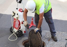 Intensifican los trabajos contra las plagas de cucarachas