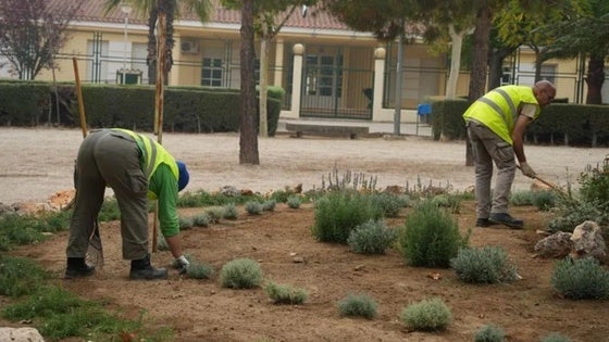 La plaza Rafael Alberti se renueva con la instalación de una rocalla
