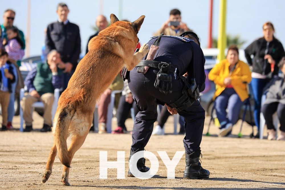 La Policía Local presume de su Unidad Canina en su 175º aniversario