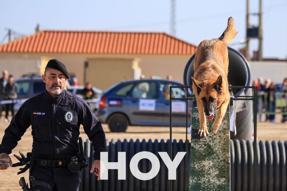 La Policía Local presume de su Unidad Canina en su 175º aniversario