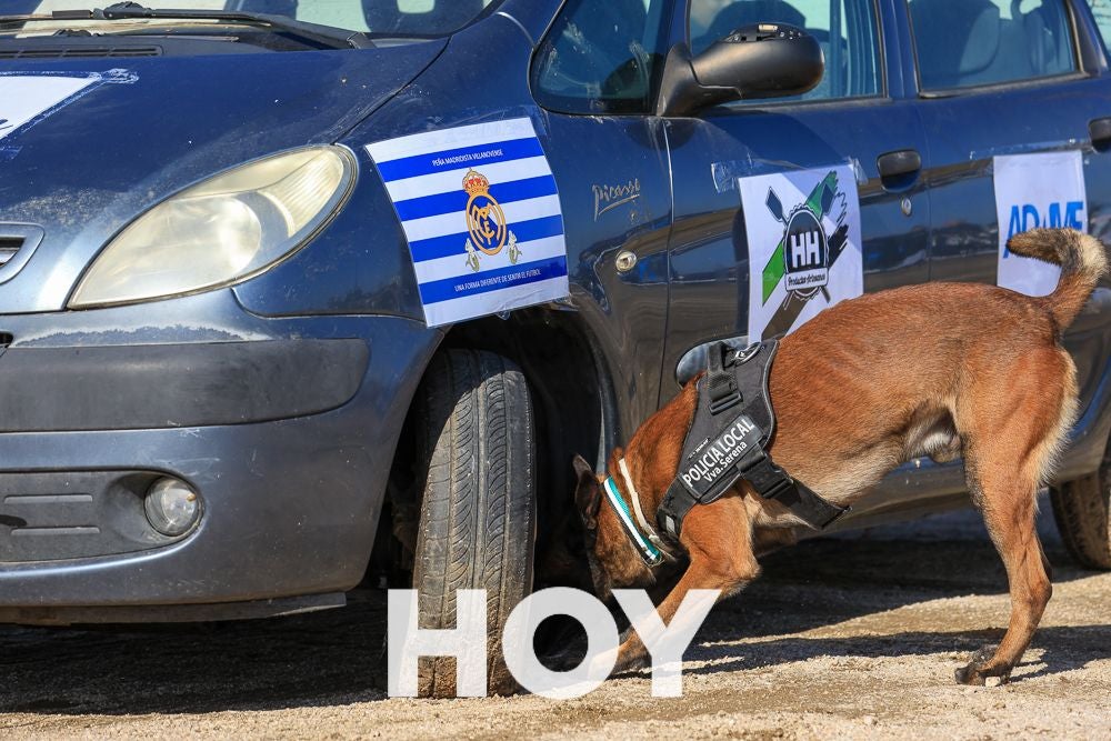 La Policía Local presume de su Unidad Canina en su 175º aniversario
