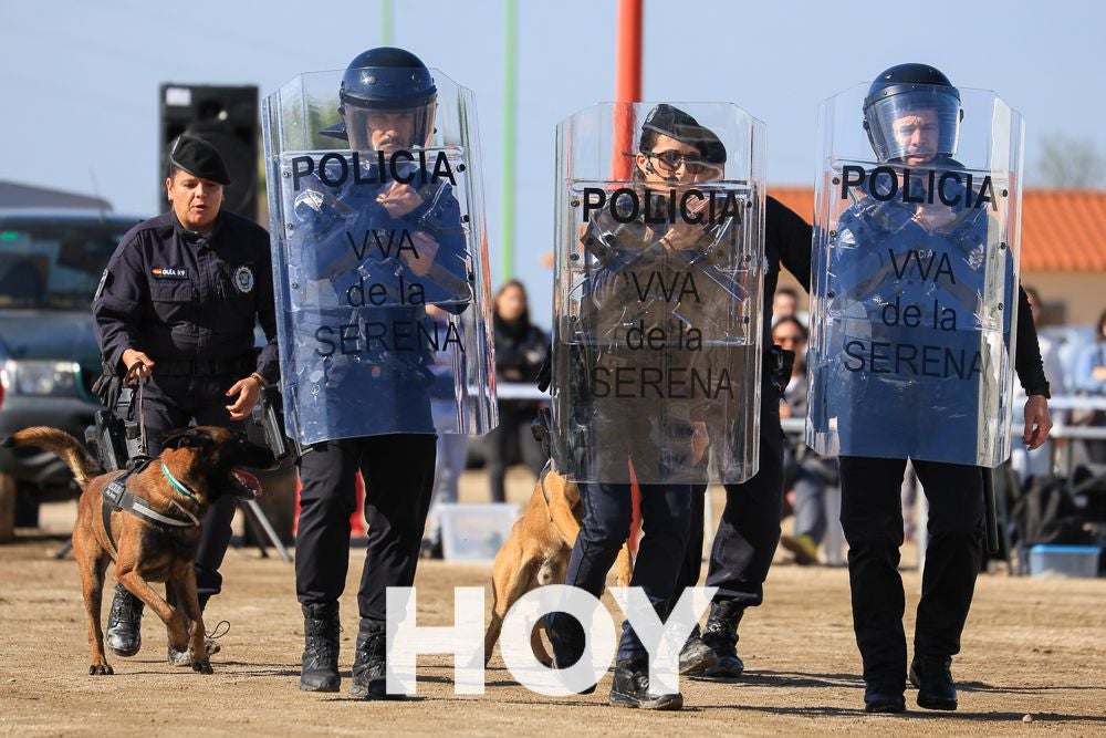 La Policía Local presume de su Unidad Canina en su 175º aniversario