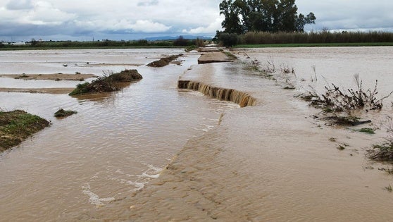 Activado el Plan de Emergencia Municipal por las inundaciones en Villanueva