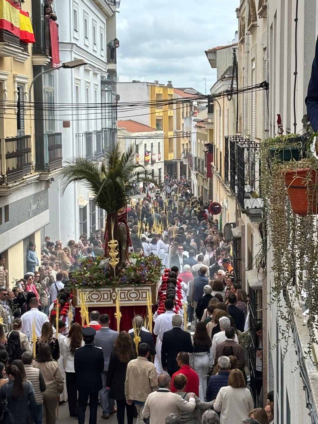 La Borriquita se luce en una soleada mañana de Domingo de Ramos