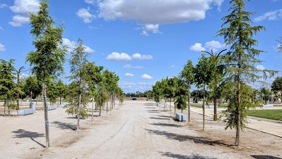 El Ayuntamiento siembra casi 5.000 árboles y plantas en diversas zonas