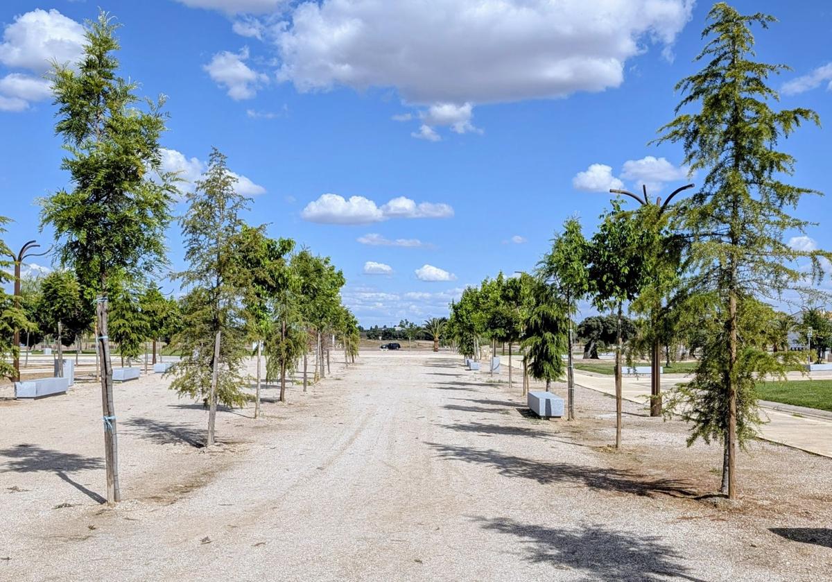 El Ayuntamiento siembra casi 5.000 árboles y plantas en diversas zonas