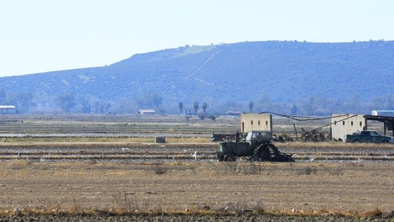 Agryga alerta del aumento de robos en el campo