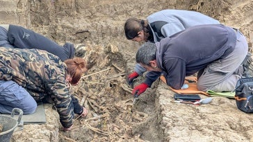Trabajos este jueves en la fosa clandestina del cementerio municipal.