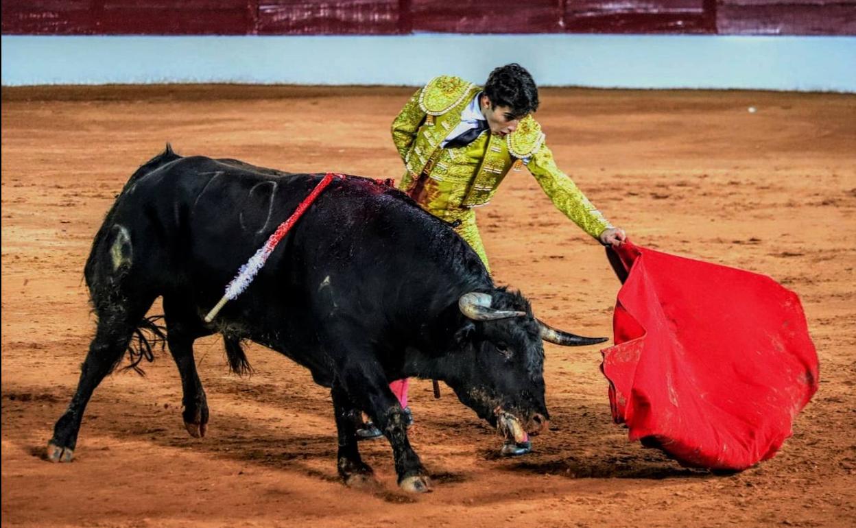 Instante de una faena de Manuel Perera.