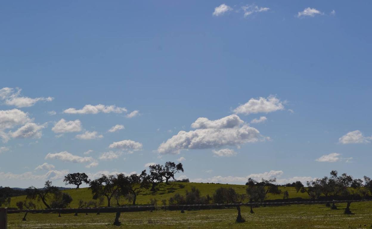 Campo de Villanueva del Fresno.