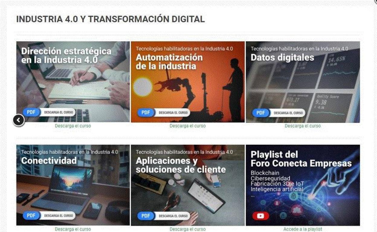 Empresas y emprendedores locales podrán realizar diversos cursos de formación online