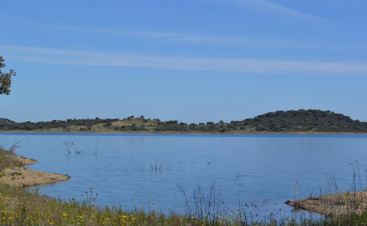Orilla villanovense del Lago Alqueva.