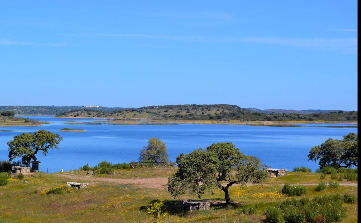 El Ayuntamiento desbroza la zona del Molino de Porras para facilitar su uso
