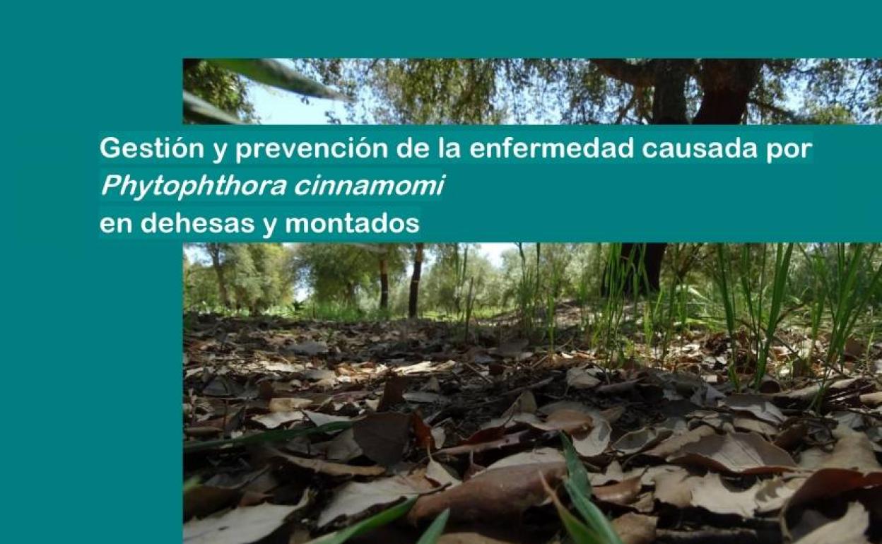 Portada del manual.