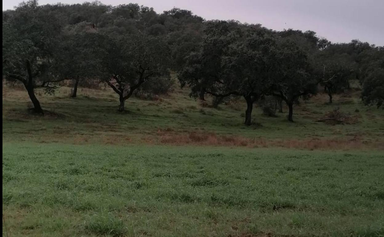 Rescatado un hombre cuyo coche quedó atascado en el barro en la finca de Los Jarales