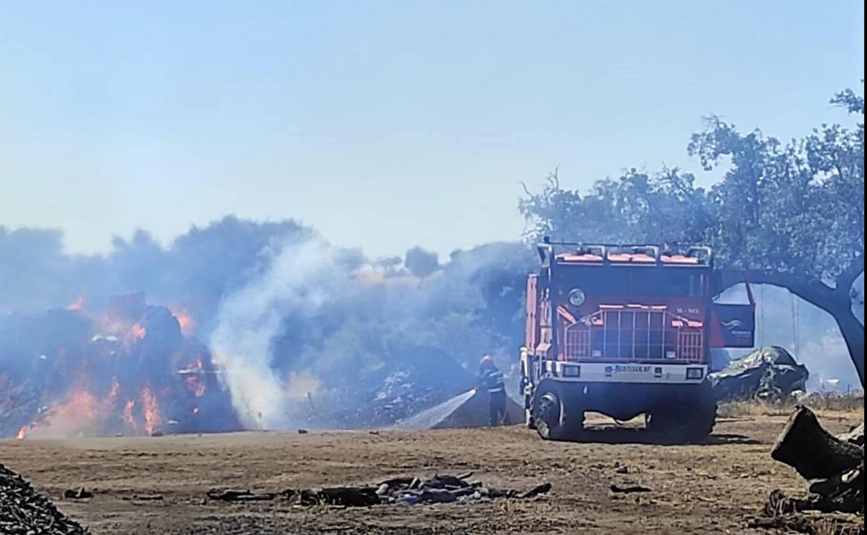 El Ayuntamiento informa de la entrada en vigor de la época de peligro bajo de incendios forestales