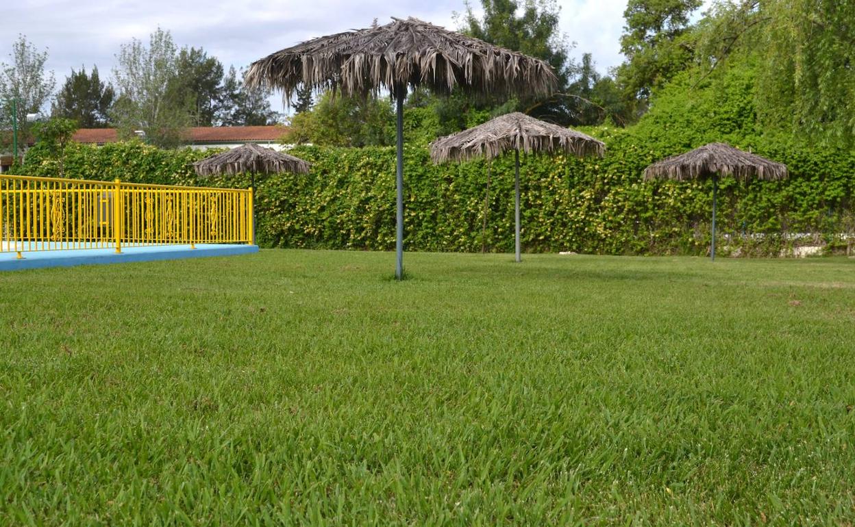 Se abre el plazo de inscripción en el SEXPE para optar al Programa Colaborativo Rural de Jardines