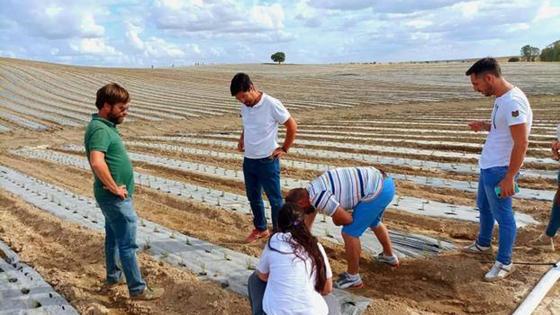 El 'Grupo Biottonia Natural Cares' recibe el impacto ambiental favorable para producir aceites esenciales