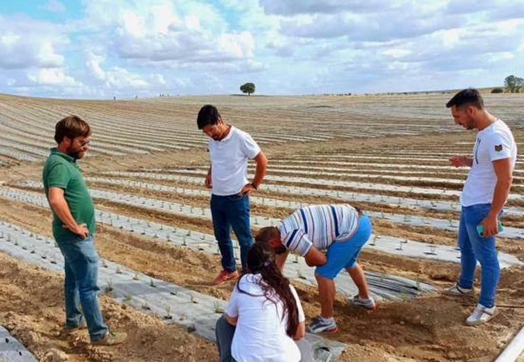 El 'Grupo Biottonia Natural Cares' recibe el impacto ambiental favorable para producir aceites esenciales