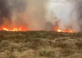 Imagen del incendio provocado por un rayo en El Ejido.