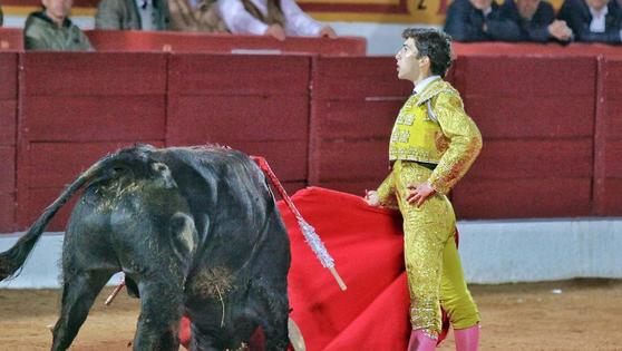 Manuel Perera regresa a Perú para torear en las localidades de Bambamarca y Palca