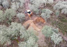 Desarrollo de los trabajos de sellado de la mina.